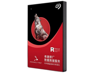 台北市希捷铭 狼之守护限定版