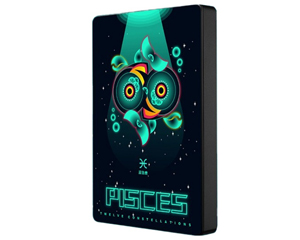 铁门关市希捷十二星座系列2.5英寸 1TB