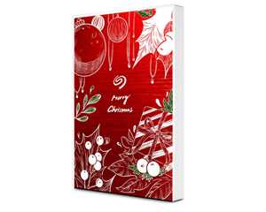 铁门关市希捷圣诞节限定款2.5英寸 1TB